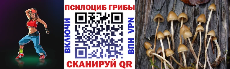 Галлюциногенные грибы MAGIC MUSHROOMS  blacksprut ССЫЛКА  Чухлома 